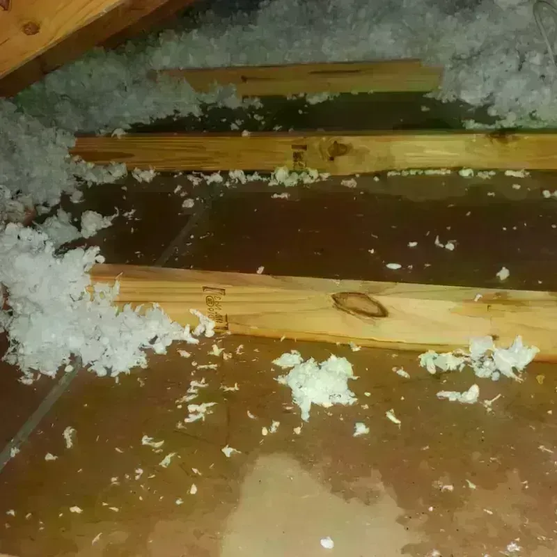 Attic Water Damage in Lake Charles, LA