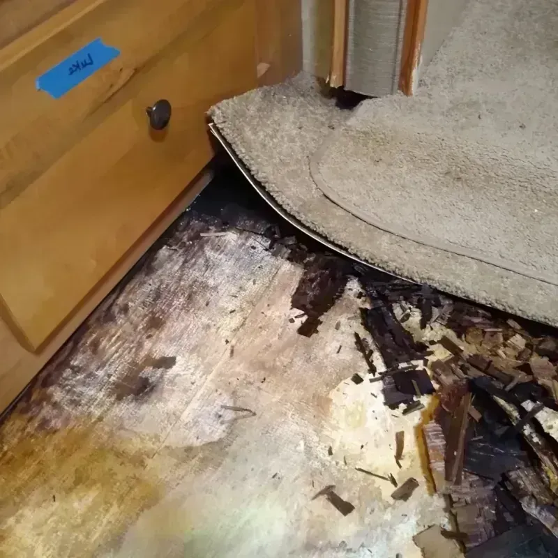 Wood Floor Water Damage in Lake Charles, LA